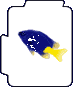Yellow-tailed Blue Damsel