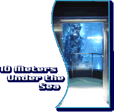 10 Metres Under the Sea